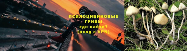 соль ск Аркадак