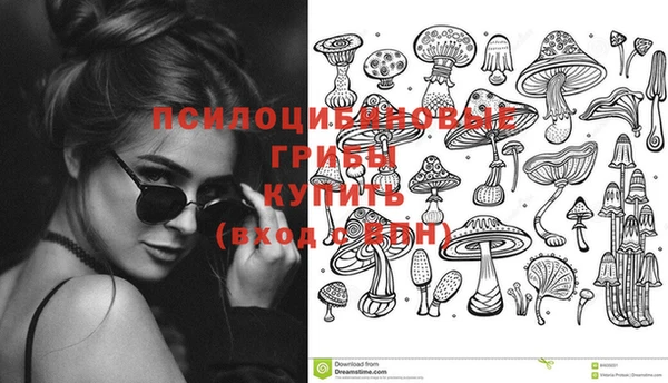 соль ск Аркадак