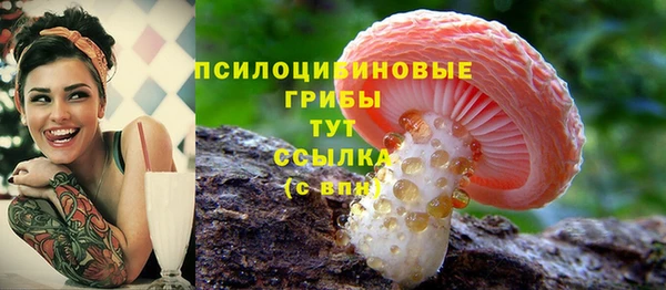 ПСИЛОЦИБИНОВЫЕ ГРИБЫ Беслан